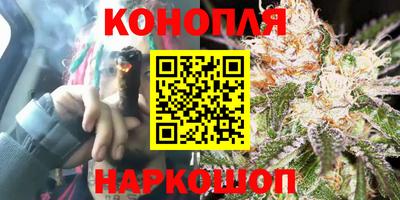 прущие грибы Новокубанск