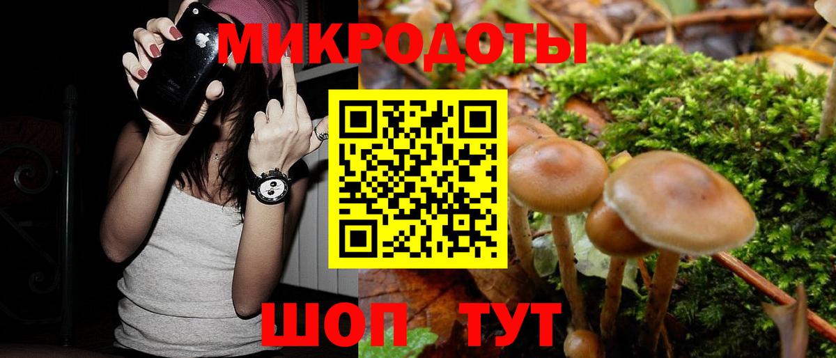 Галлюциногенные грибы прущие грибы Усолье-Сибирское